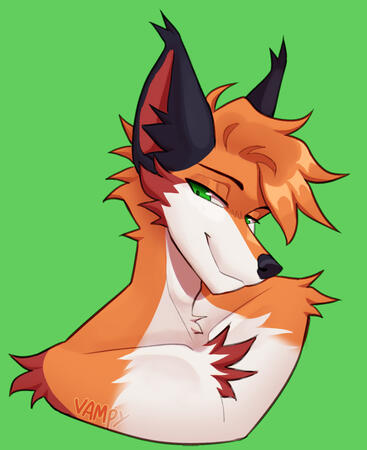 Bust Bust
